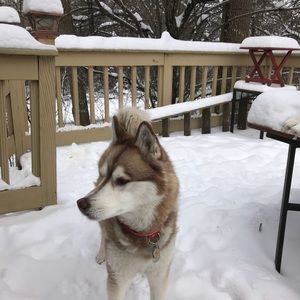 Meet your Posher, Deanna